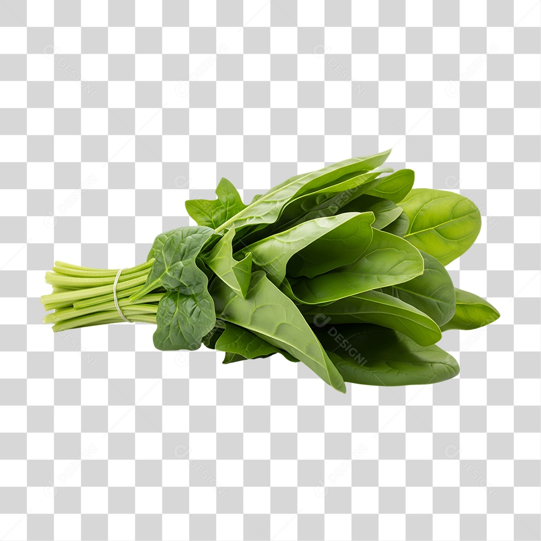 Folhas de Couve PNG Transparente