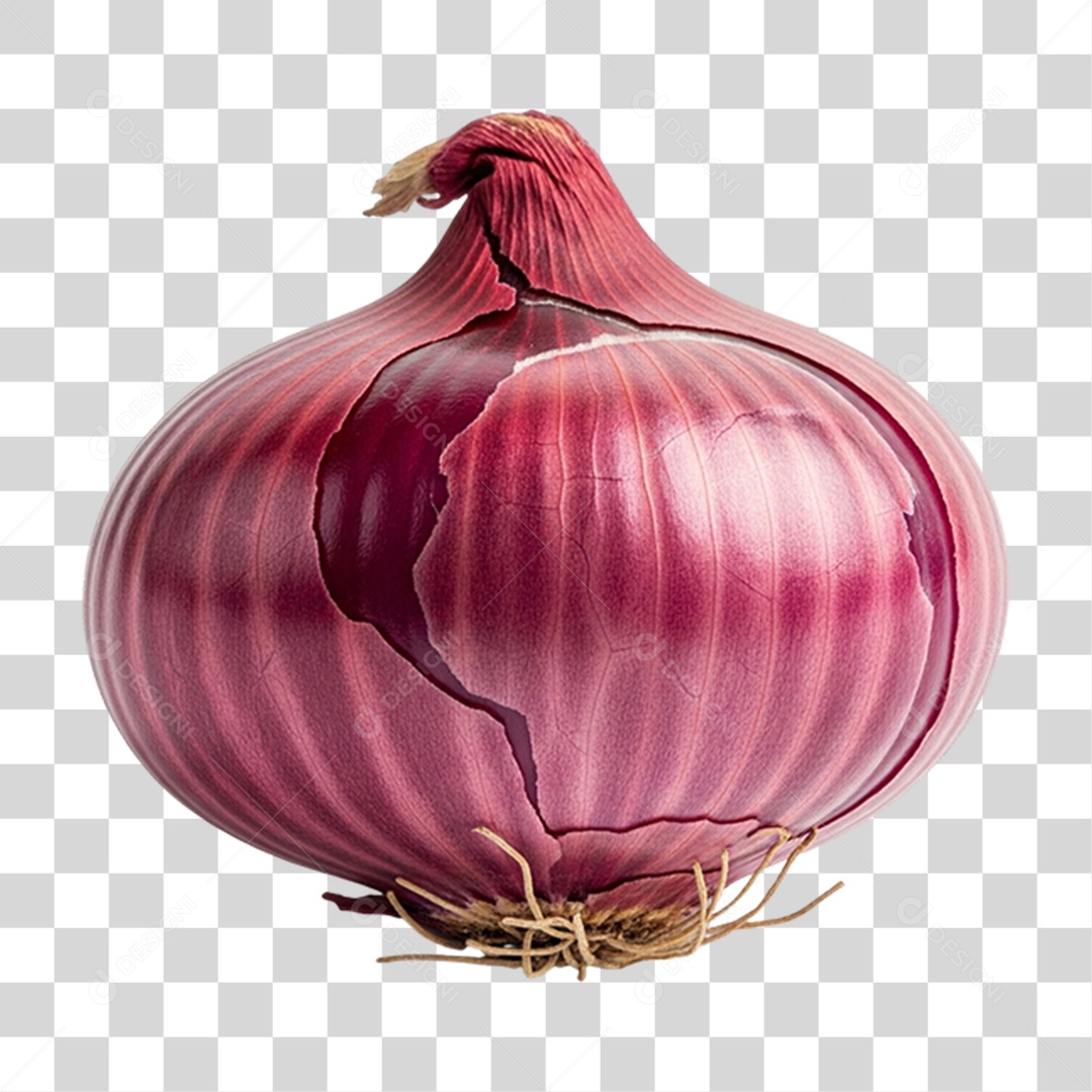 Cebola Roxa PNG Transparente