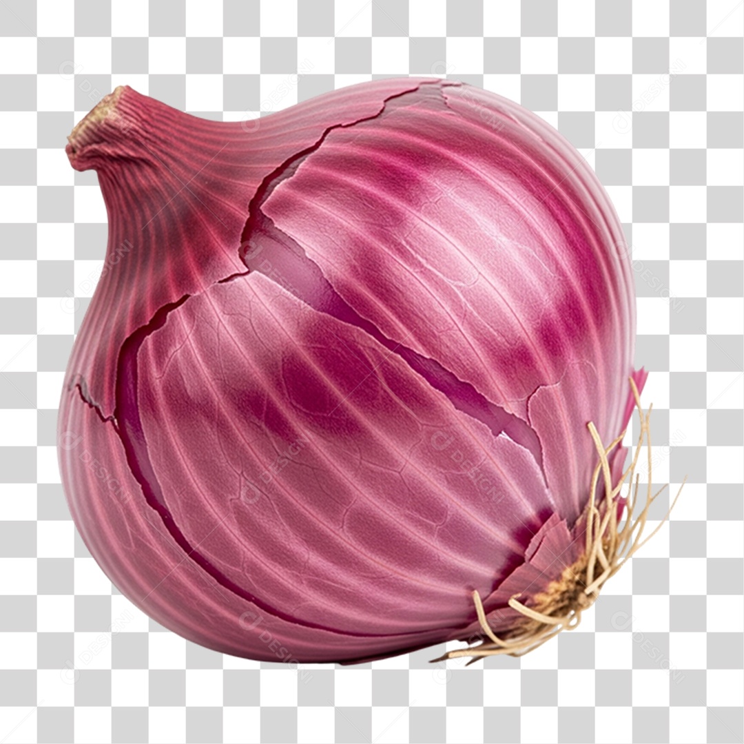 Cebola Roxa PNG Transparente