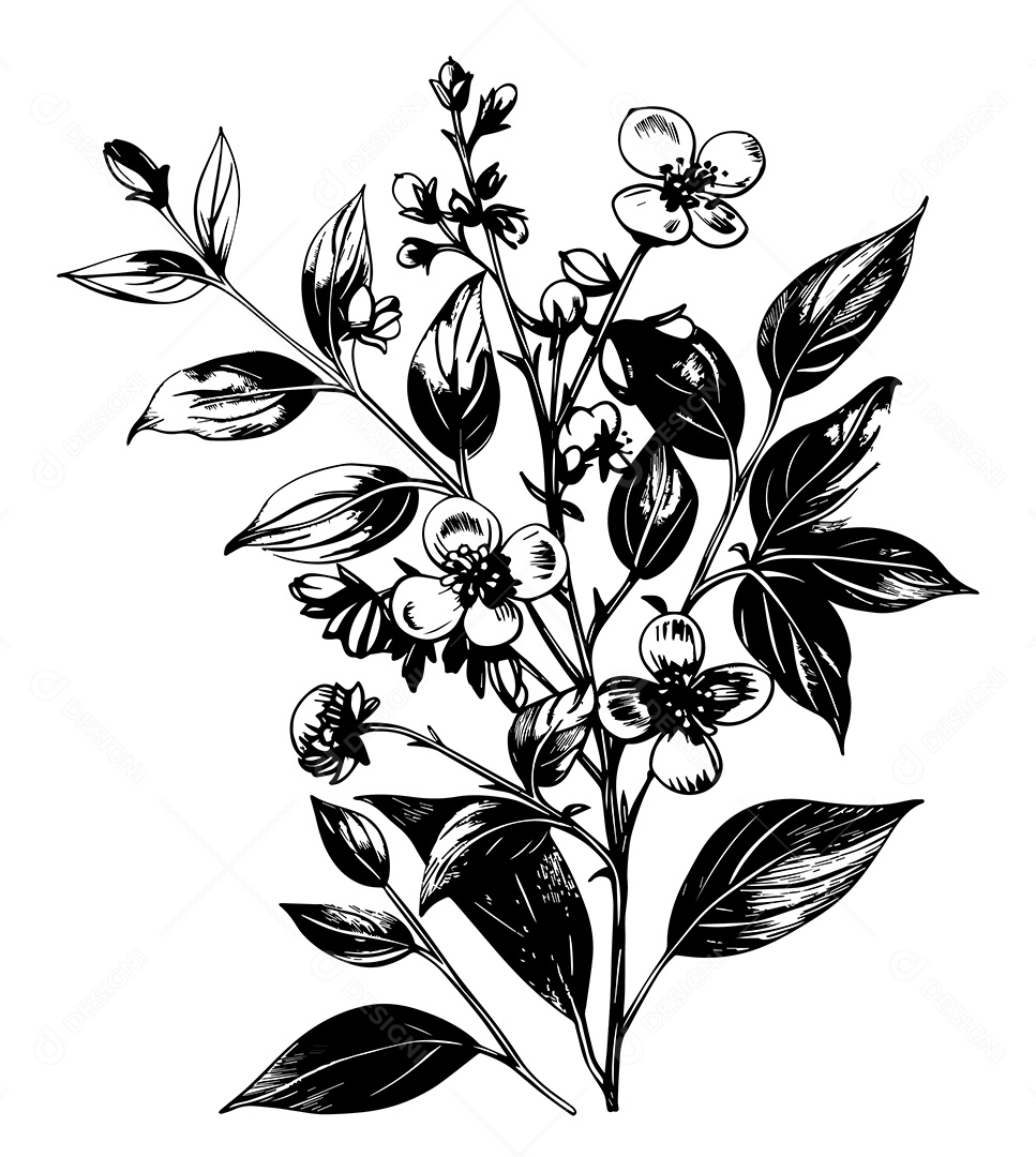 Flores Ilustração Vetor EPS