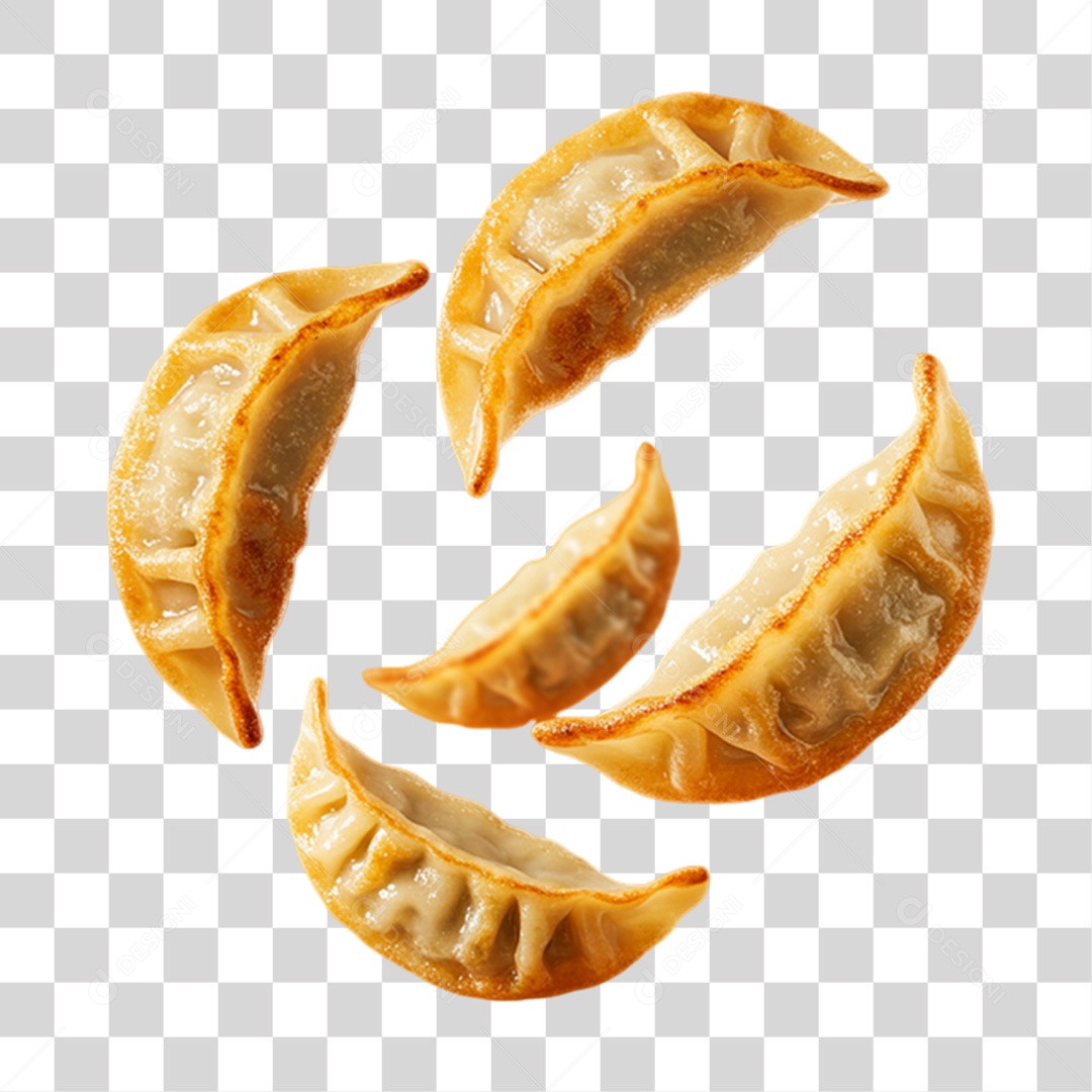 Prato Gyoza da Culinária Japonesa PNG Transparente