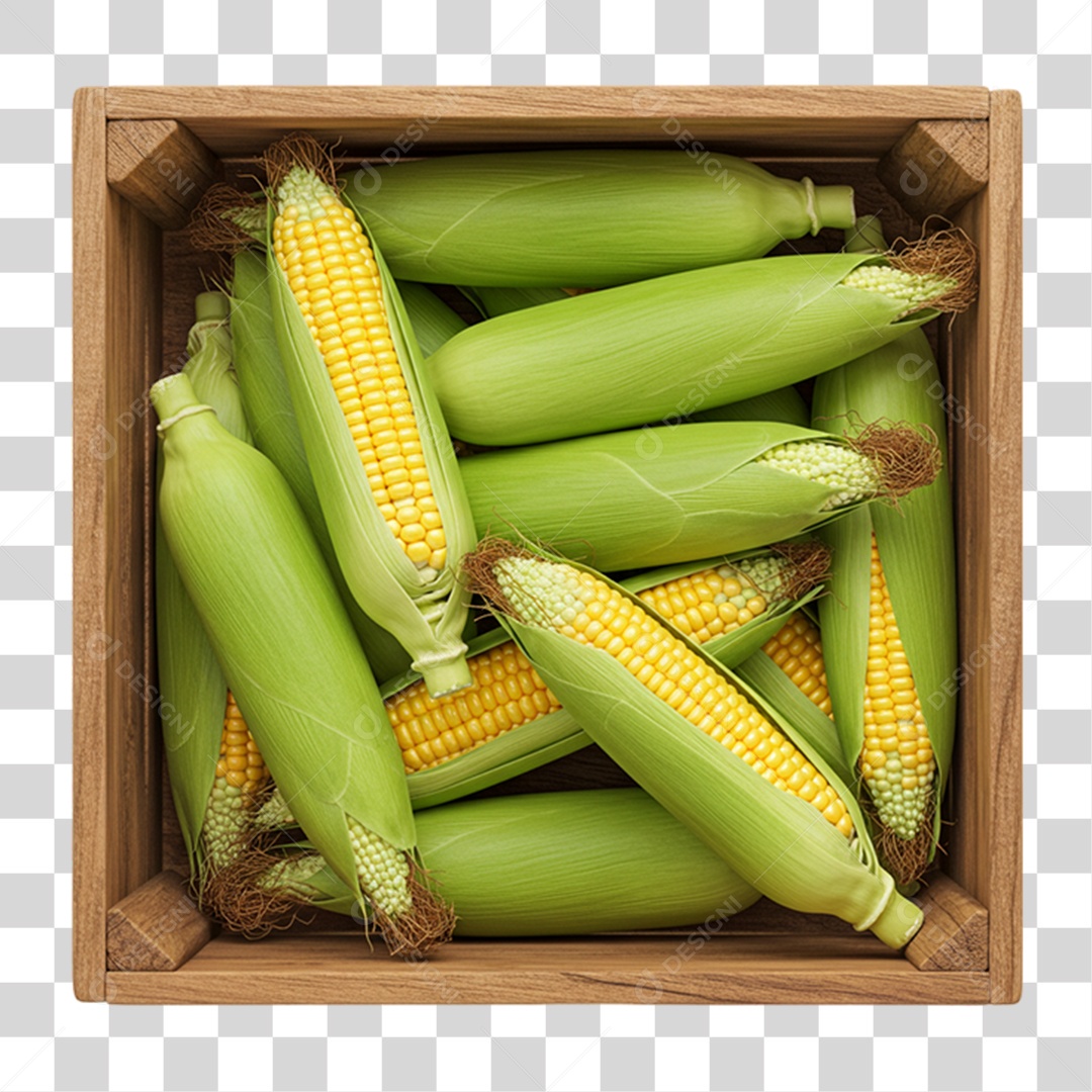 Caixa de Madeira com Espigas de Milhos PNG Transparente