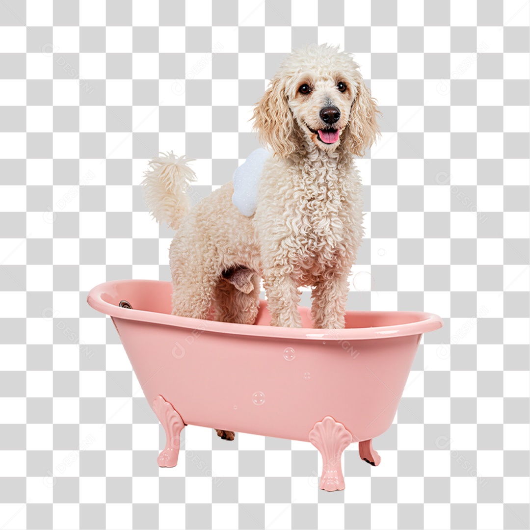 Cachorro na Banheira PNG Transparente