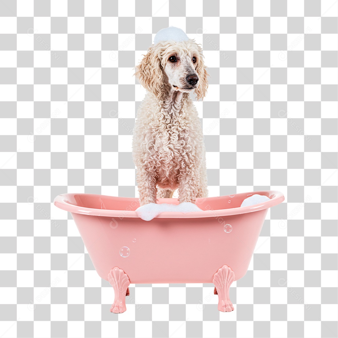 Cachorro na Banheira PNG Transparente