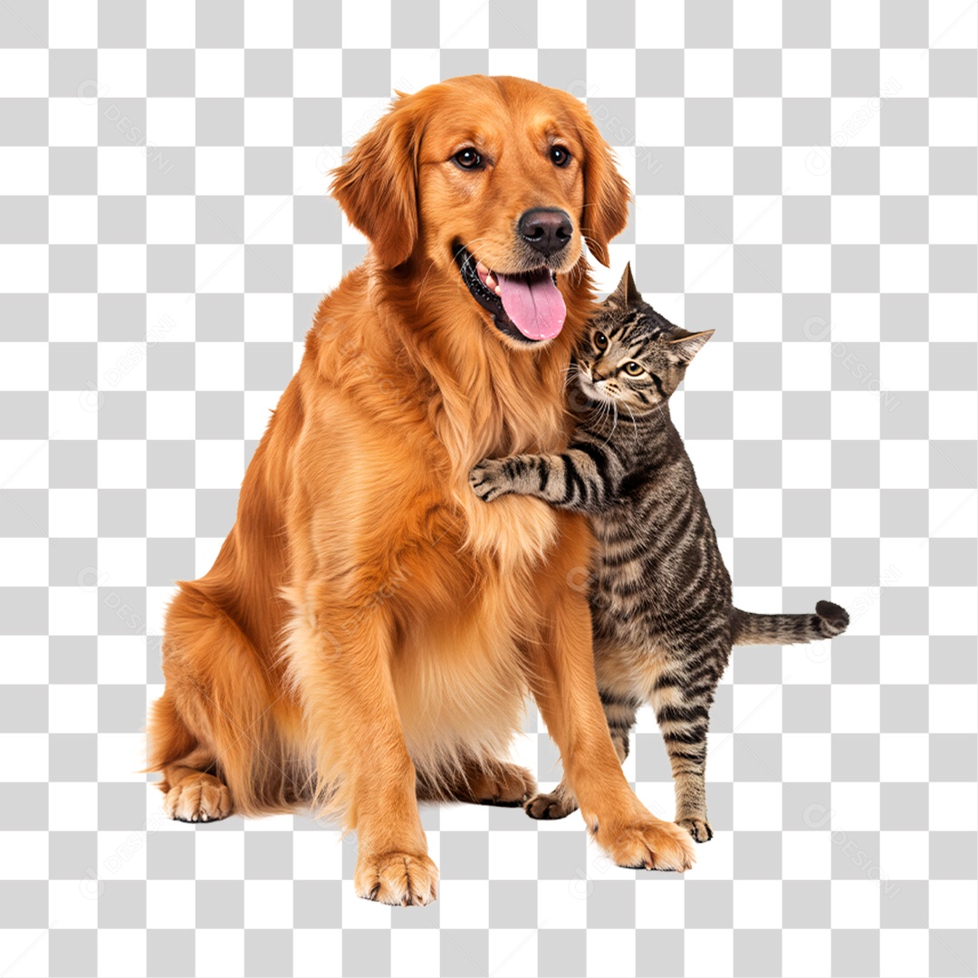 Cachorro Brincando com Gato PNG Transparente