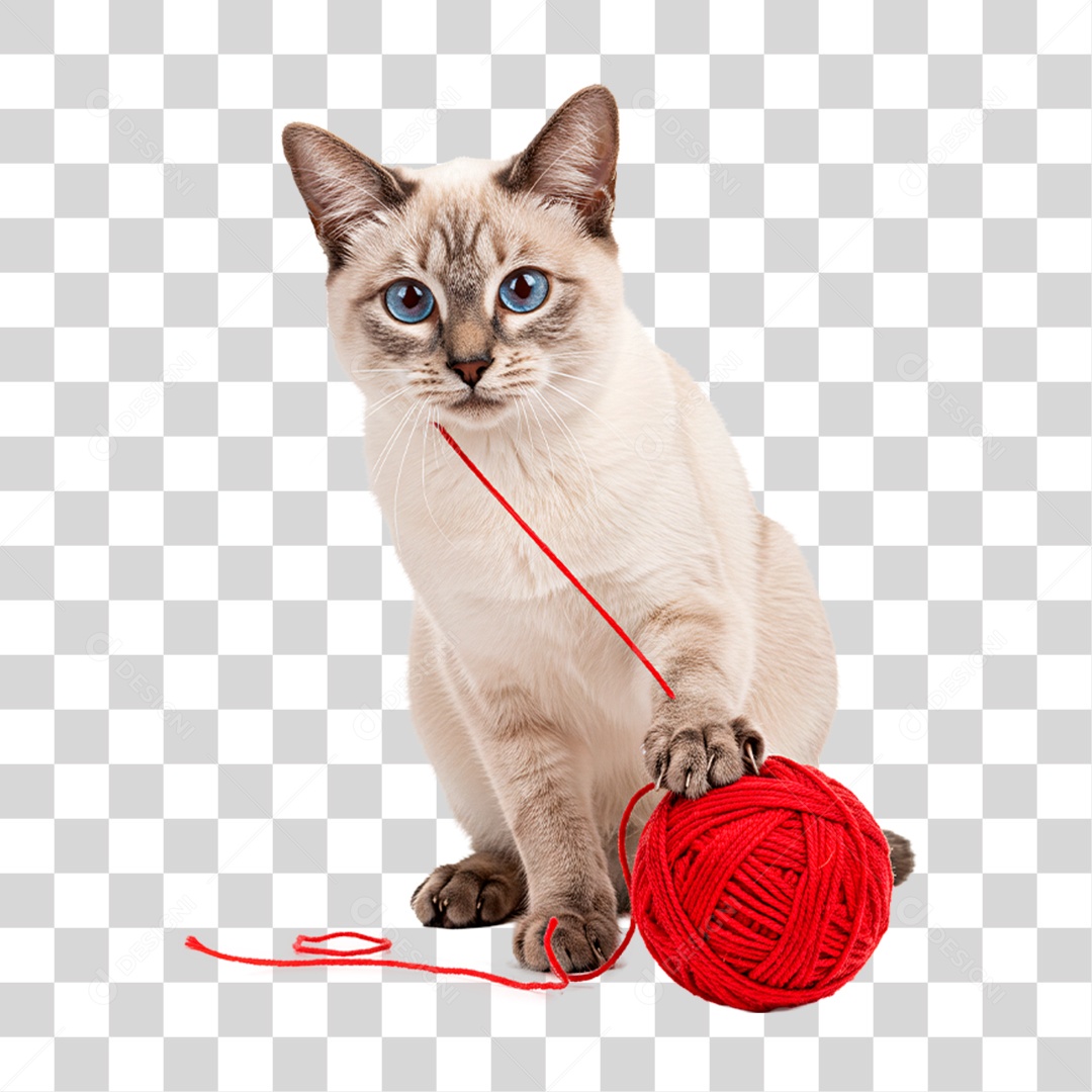 Gato Brincando com Novelo PNG Transparente