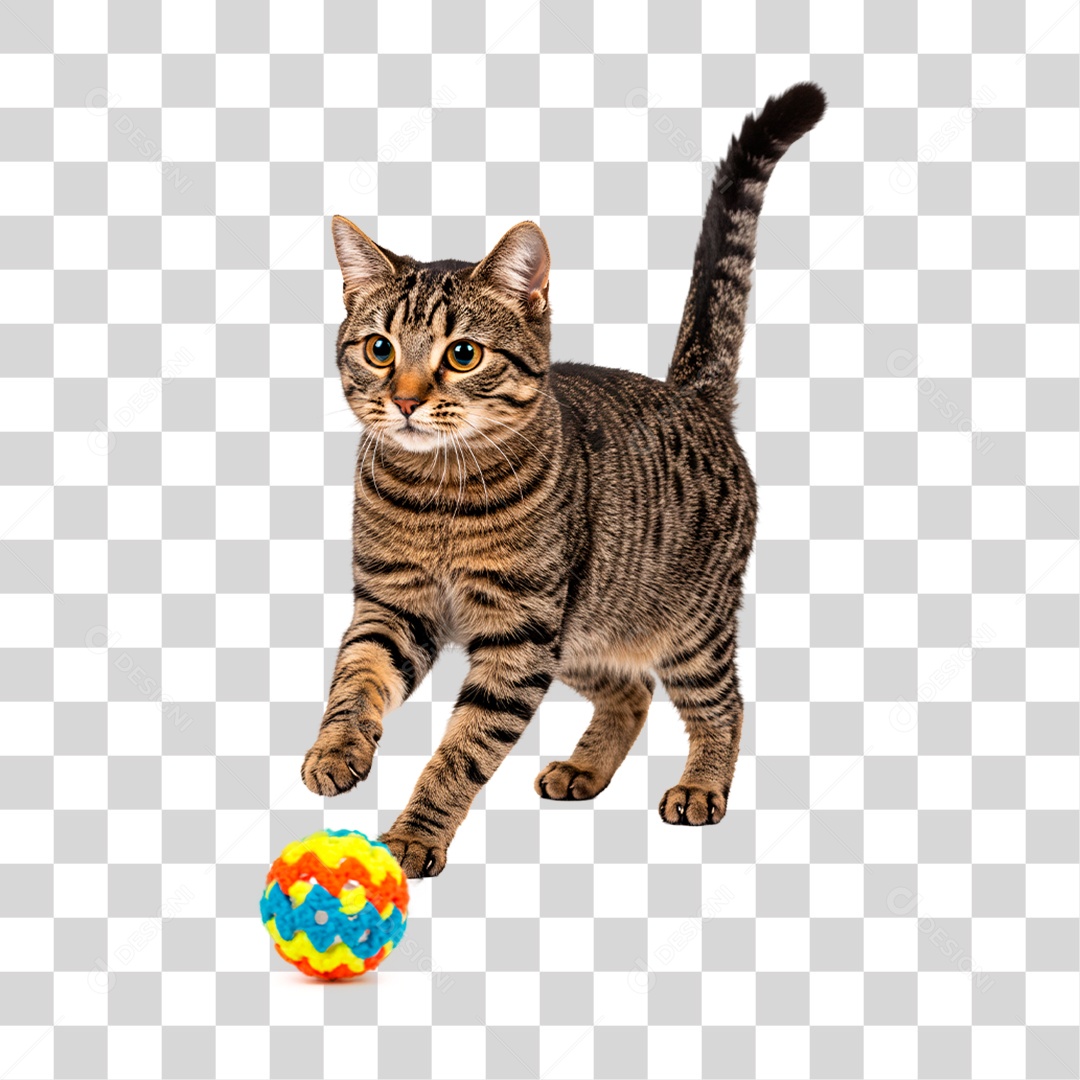 Gato Brincando com Novelo PNG Transparente