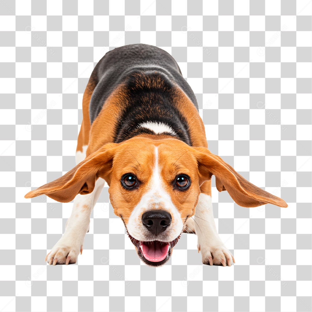 Cachorro Brincando PNG Transparente