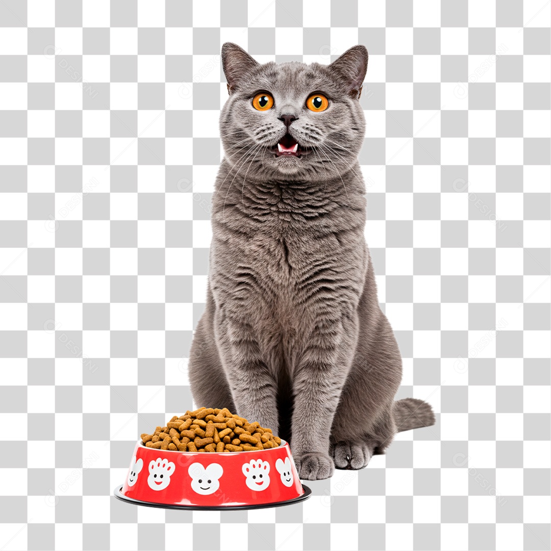 Gato Comendo Ração PNG Transparente
