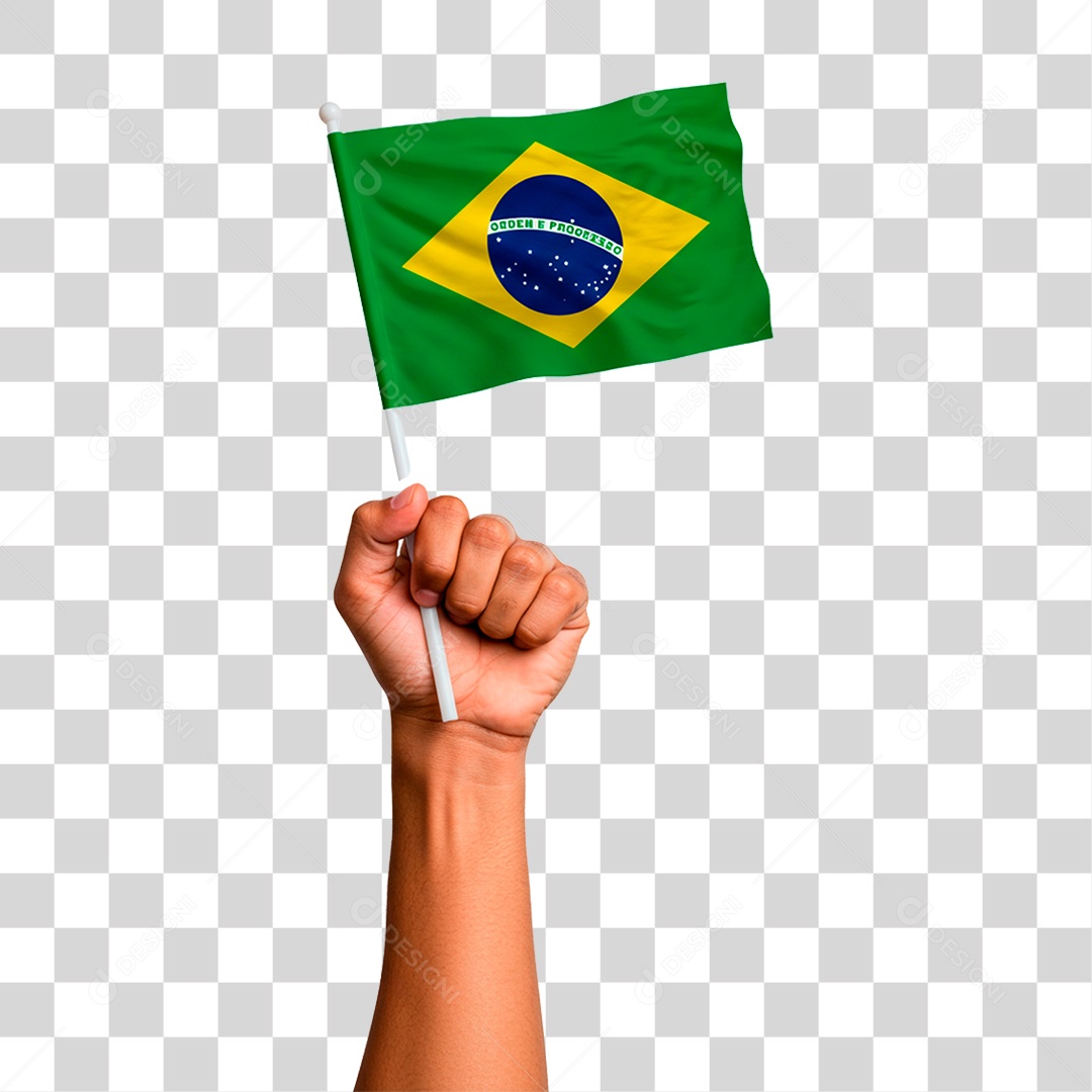 Punho Cerrado Segurando Bandeira do Brasil PNG Transparente