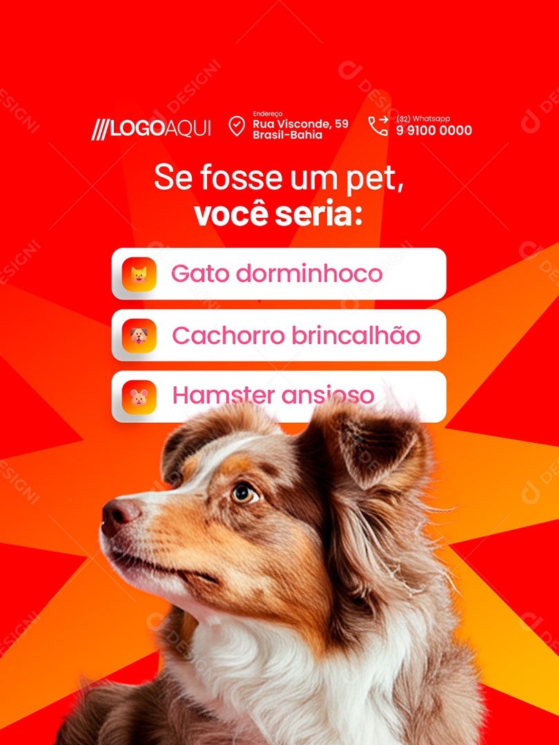 Petshop Se Fosse um Pet Você Seria Gato Dorminhoco Social Media PSD Editável
