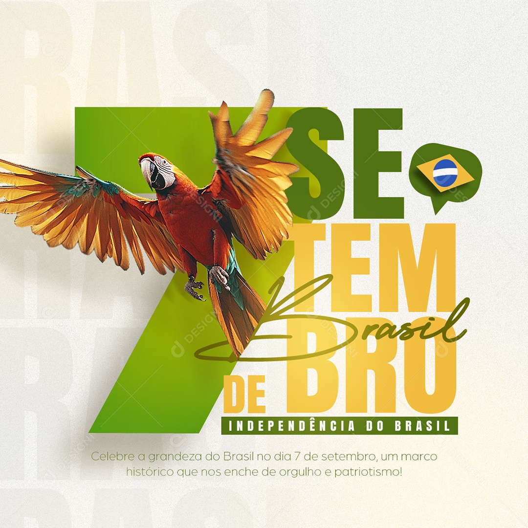 Dia da Independência do Brasil 7 de Setembro Social Media PSD Editável