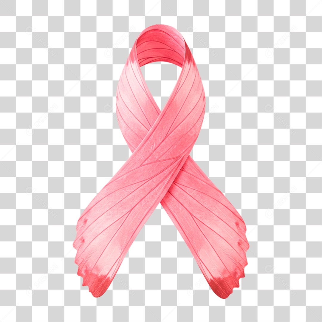 Laço Rosa PNG Transparente