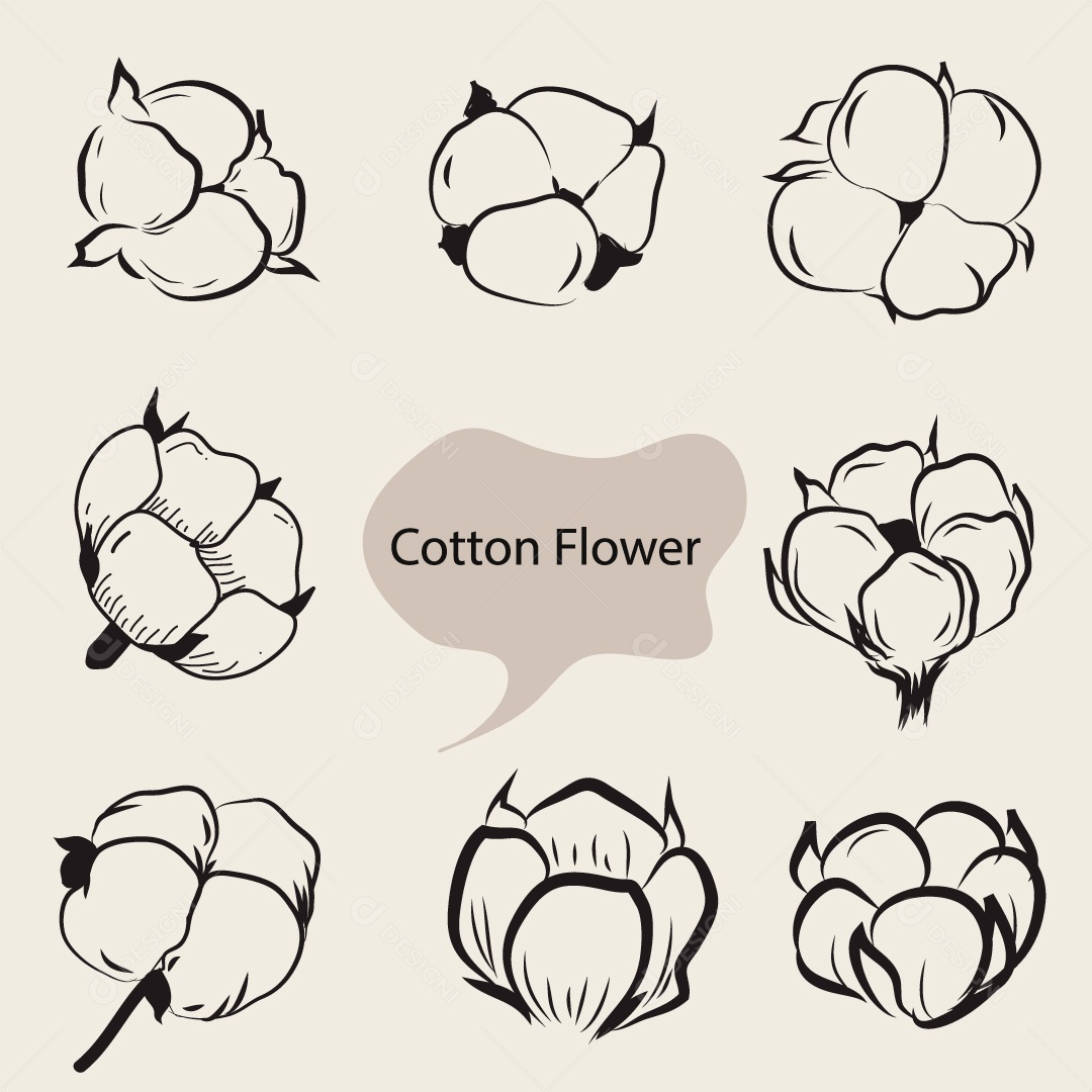 Flor de algodão ilustração desenhada à mão