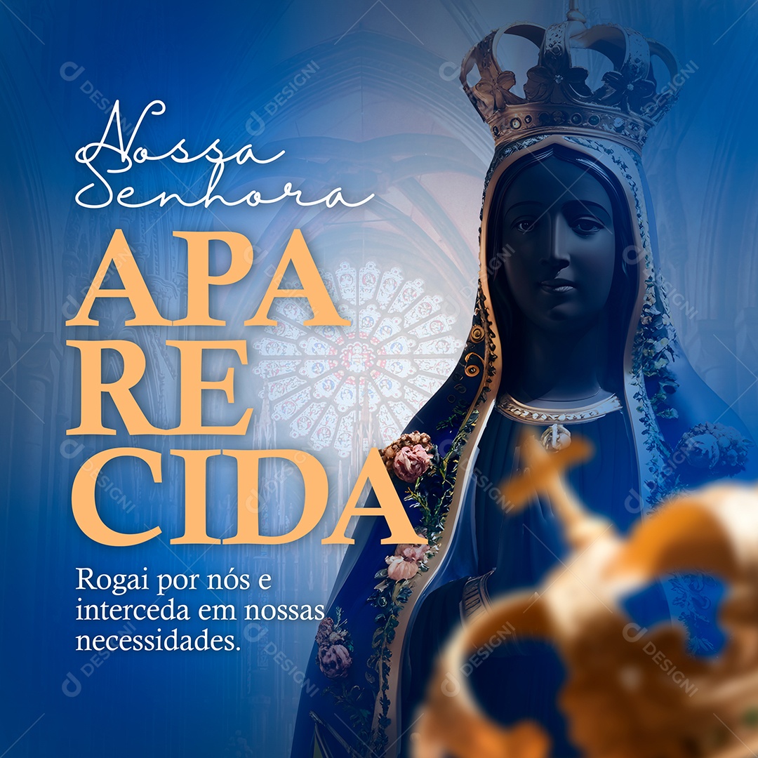 Nossa Senhora de Aparecida Social Media PSD Editável