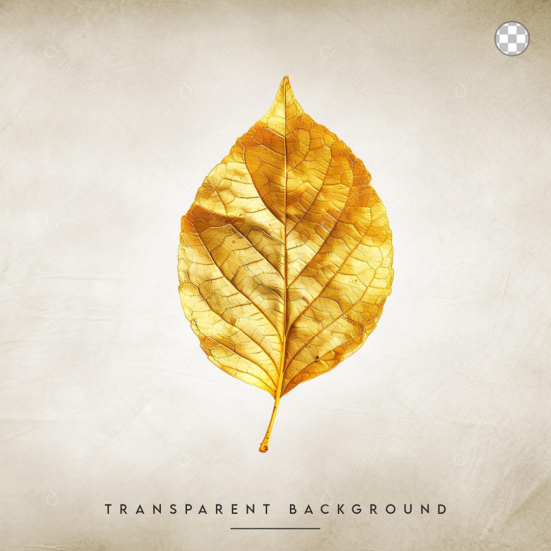 Elemento 3D Folha Para Composição PSD