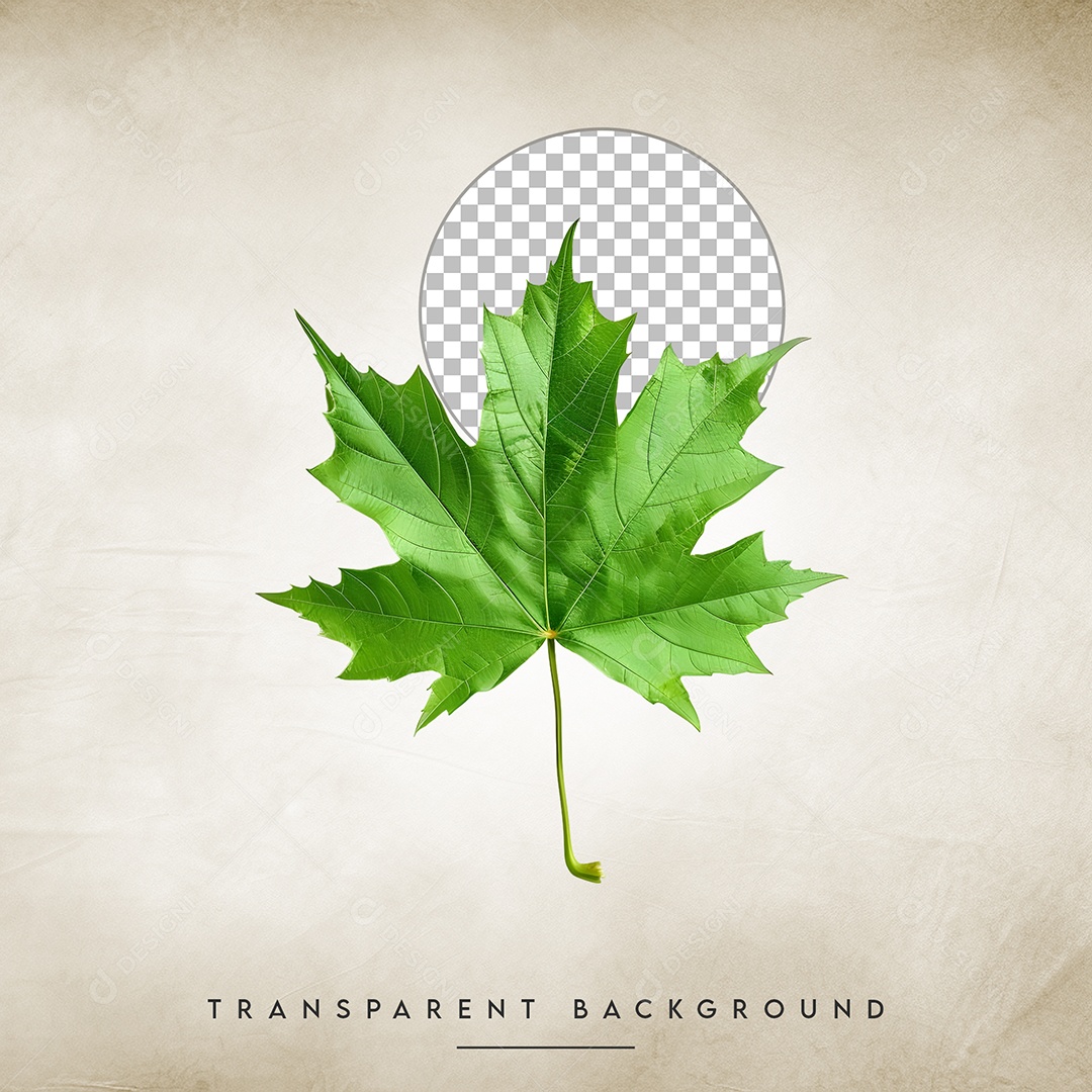 Elemento 3D Folha Para Composição PSD