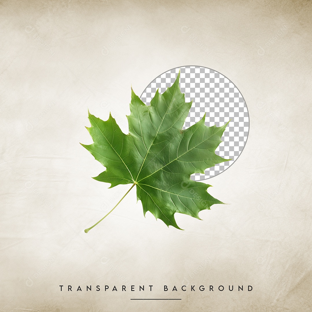 Elemento 3D Folha Para Composição PSD