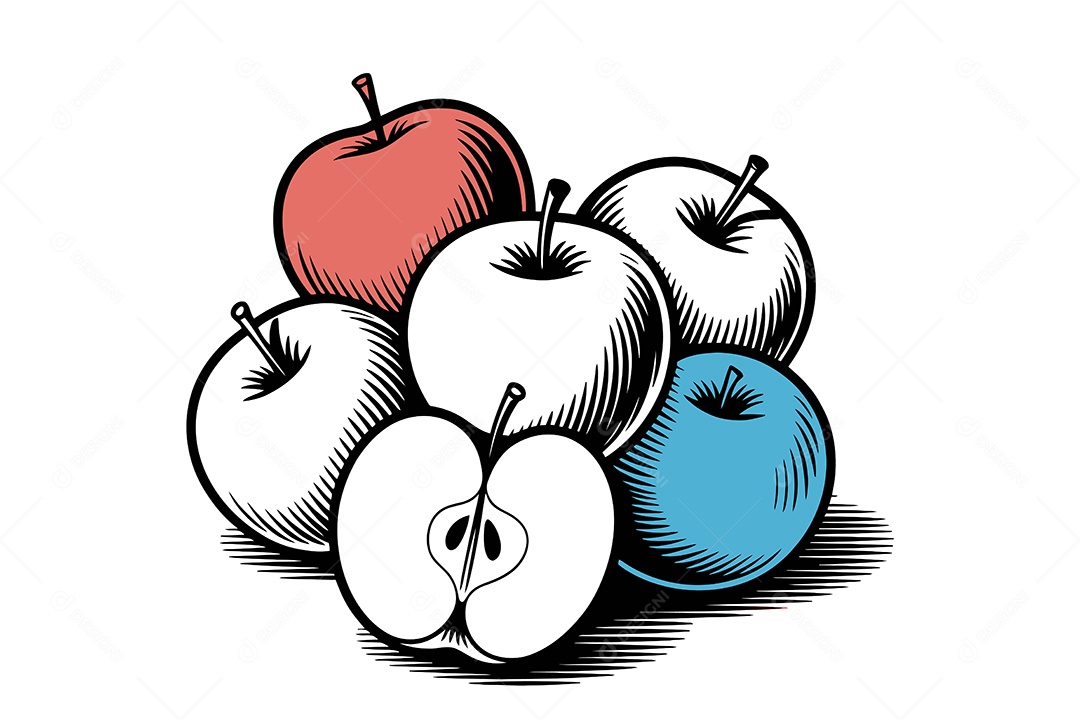 Conjunto de Maçãs Ilustração Vetor EPS + AI