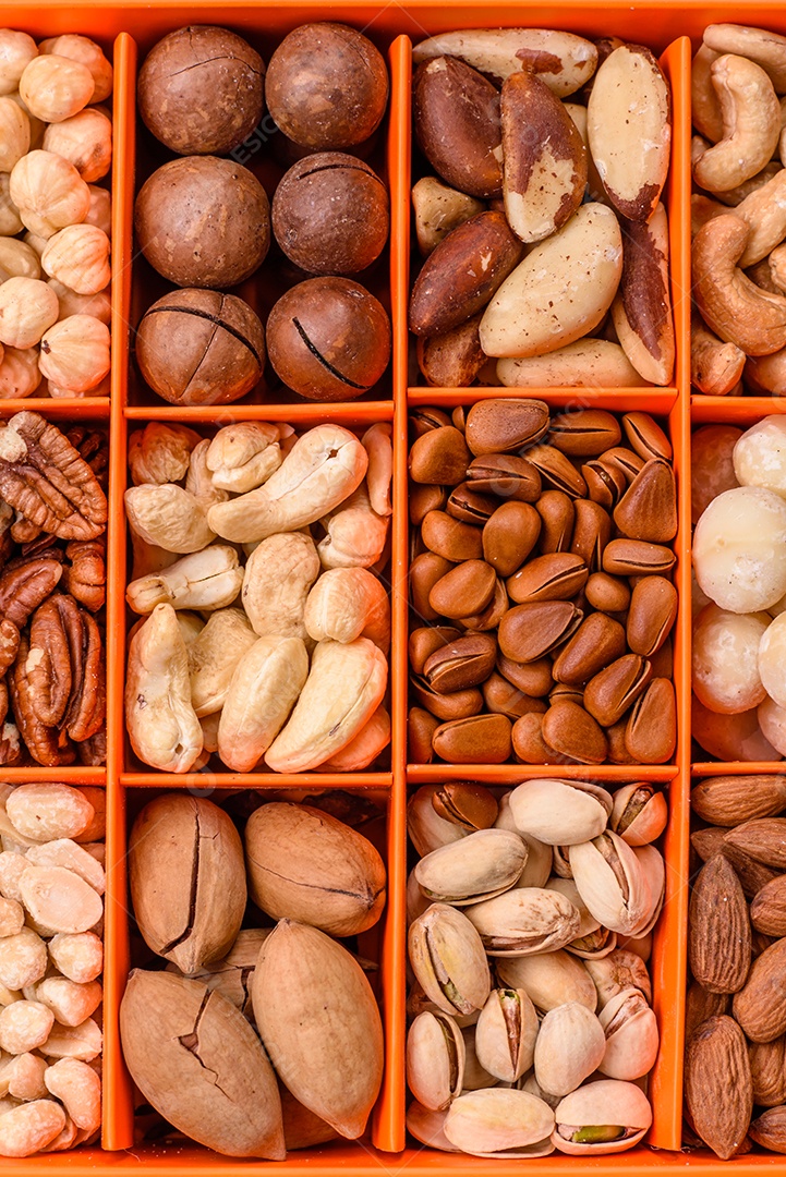 Imagem mostra uma variedade de oleaginosas, comumente chamadas de castanhas e nozes, em uma caixa dividida em compartimentos.