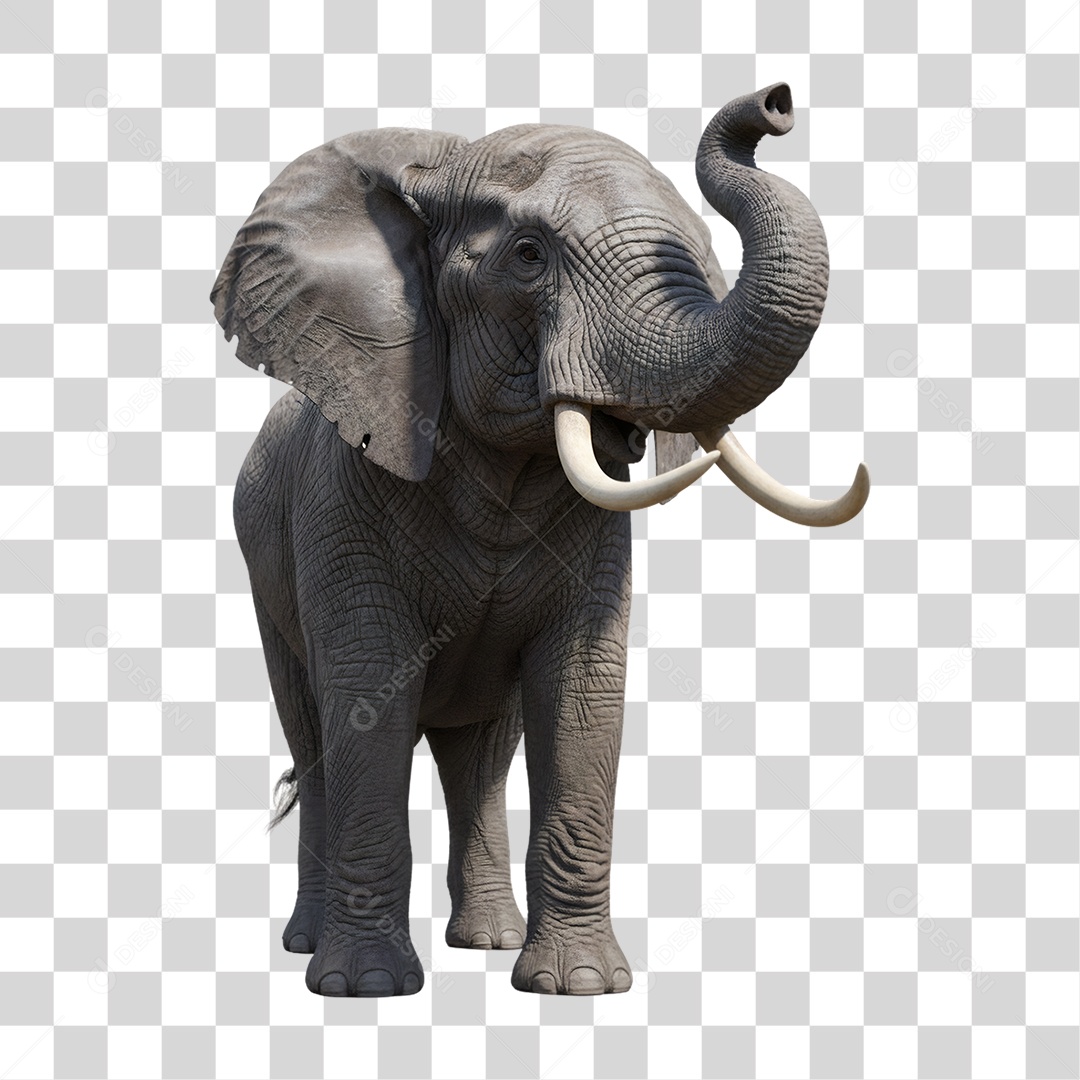 Elefante Animal Silvestre PNG Transparente
