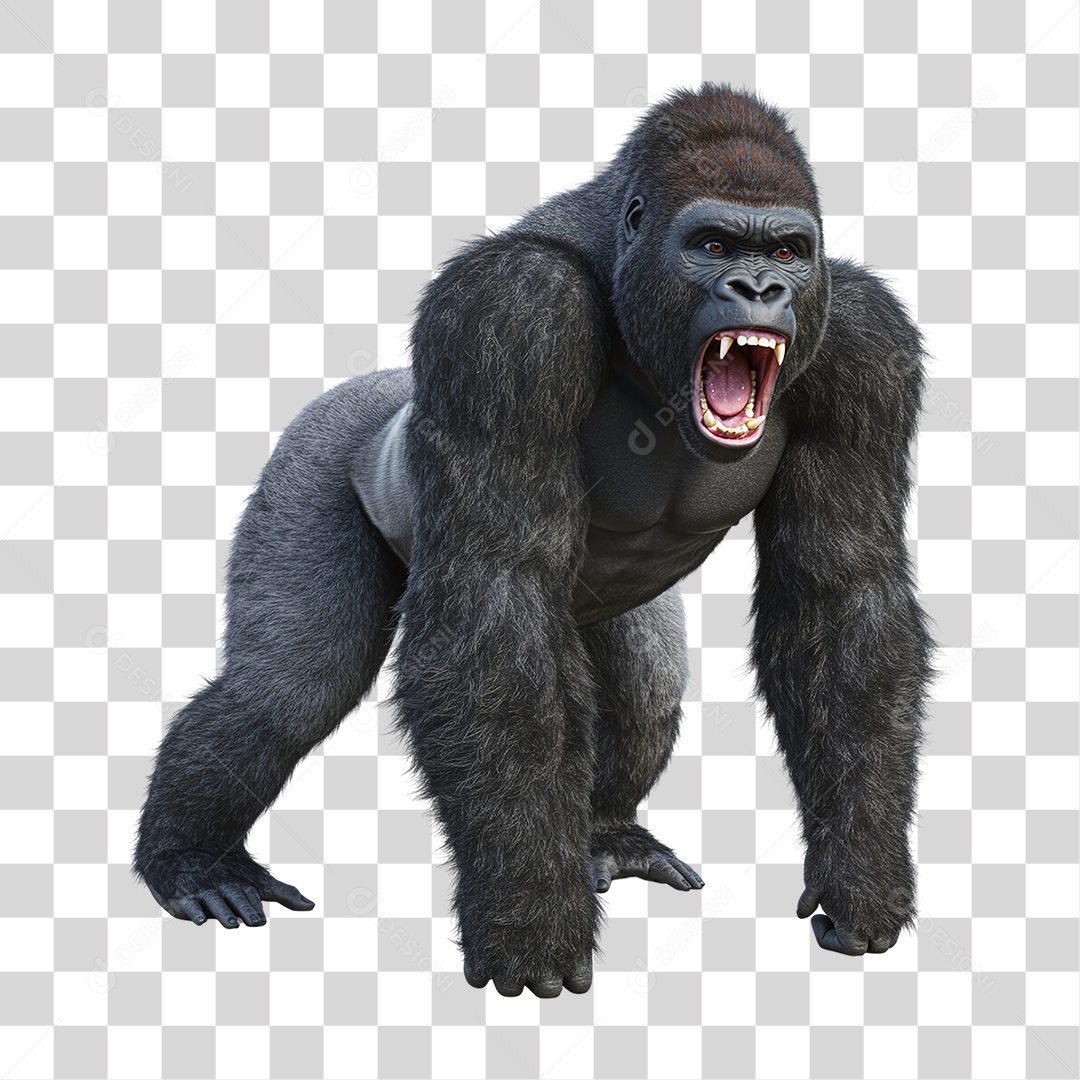 Gorila Animal Silvestre PNG Transparente