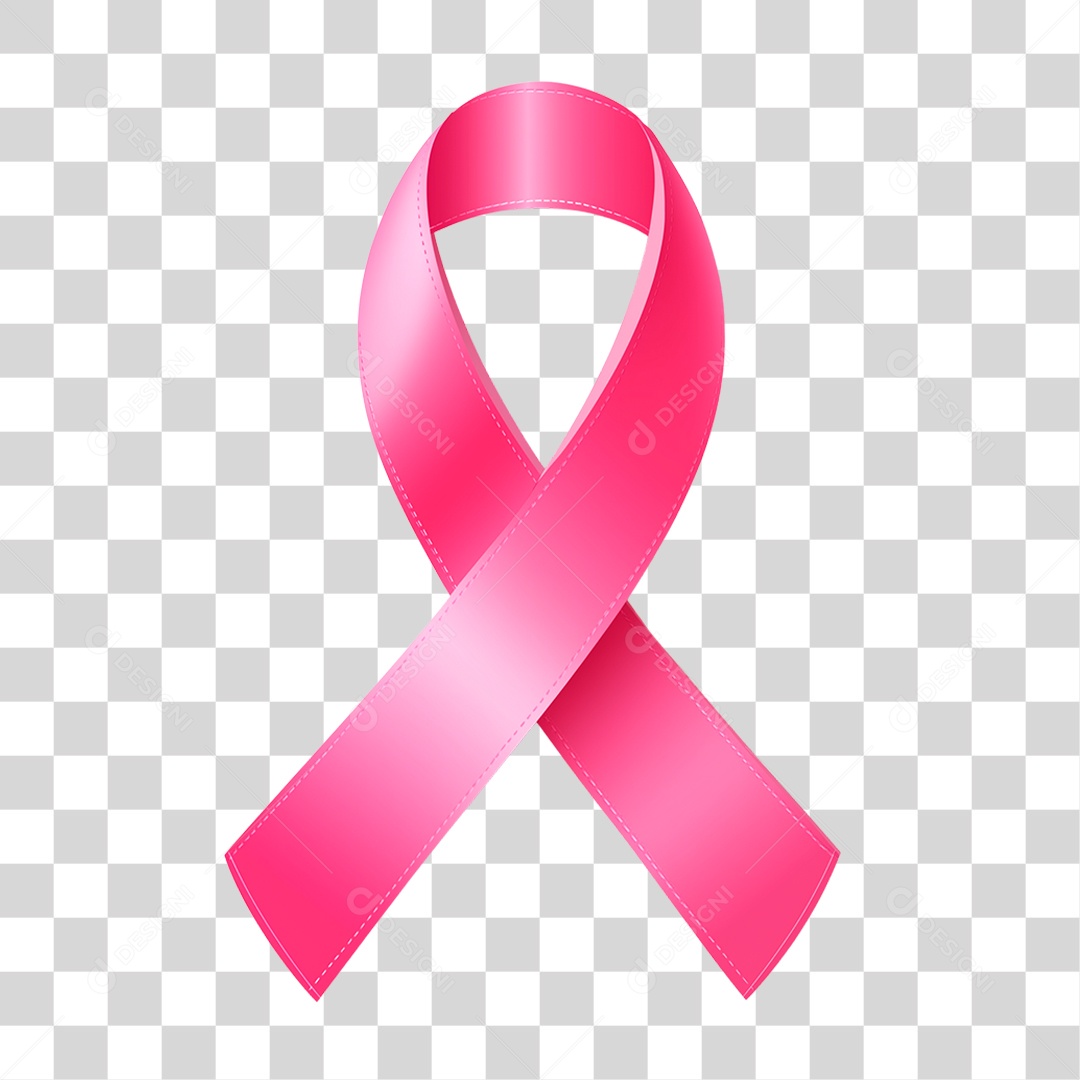 Laço Rosa PNG Transparente