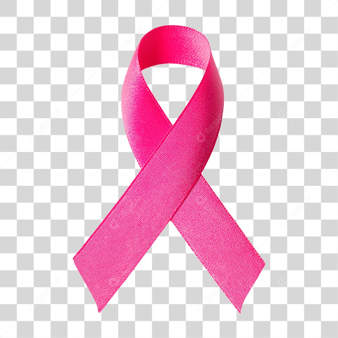 Laço Rosa PNG Transparente