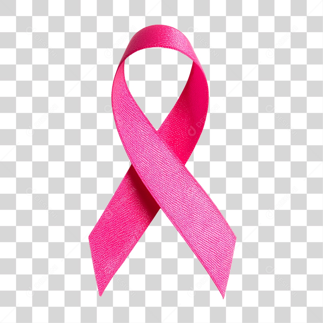 Laço Rosa PNG Transparente