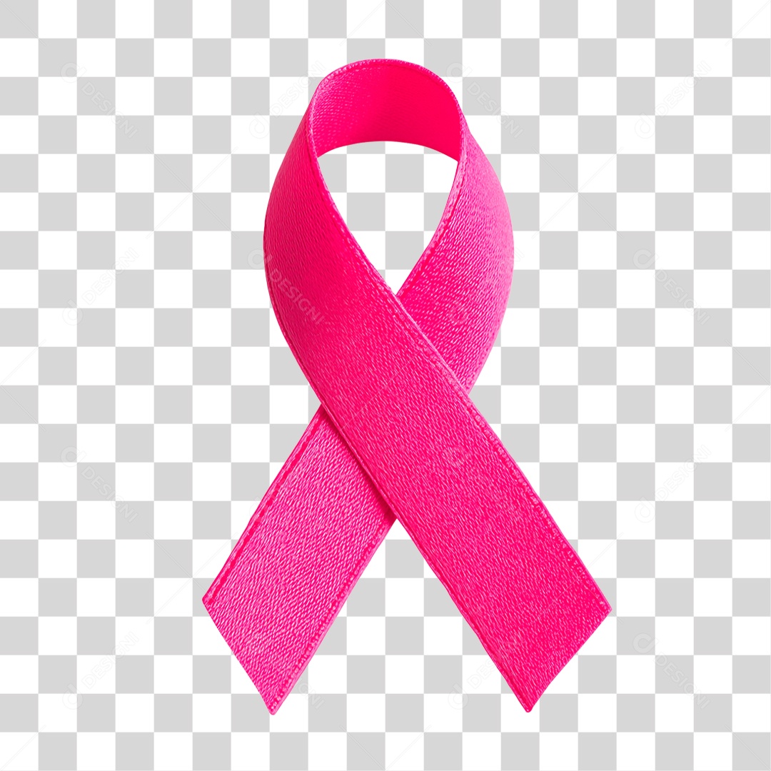 Laço Rosa PNG Transparente