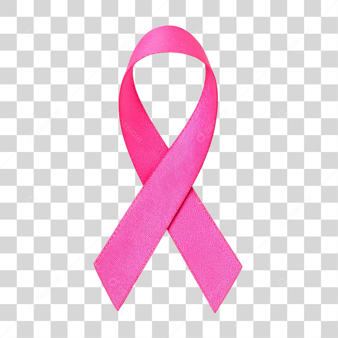 Laço Rosa PNG Transparente