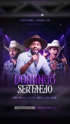 Story Flyer Próximos Shows Stanejo Social Media PSD Editável