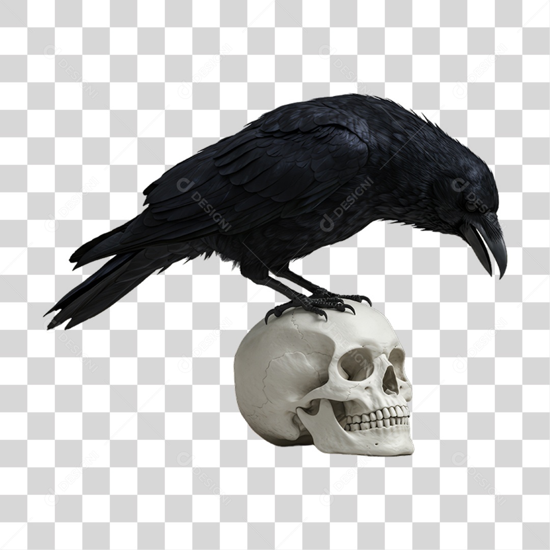 Corvo em Cima de um Crânio Decoração de Halloween PNG Transparente