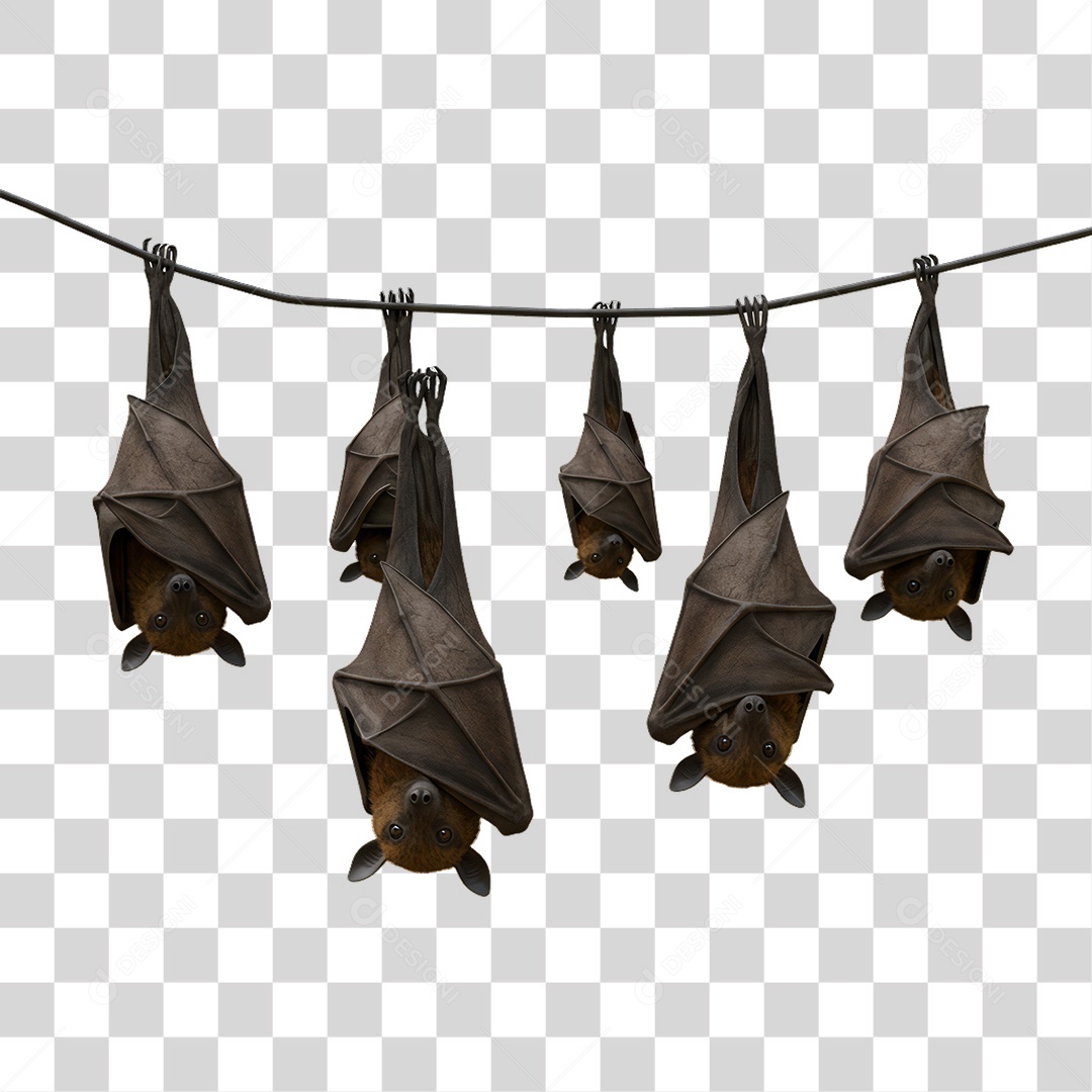 Morcegos Decoração de Halloween PNG Transparente