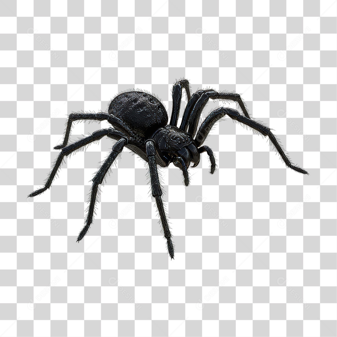 Aranha Decoração de Halloween PNG Transparente