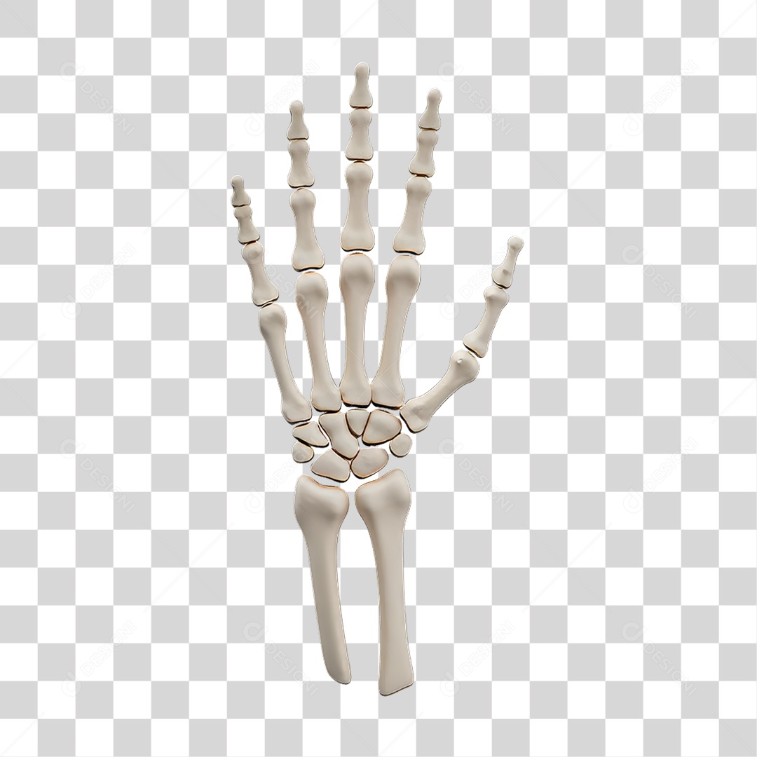 Esqueleto de Mão Ossos Decoração de Halloween PNG Transparente