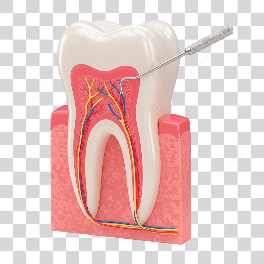 Dentes com Equipamento Dentário PNG Transparente