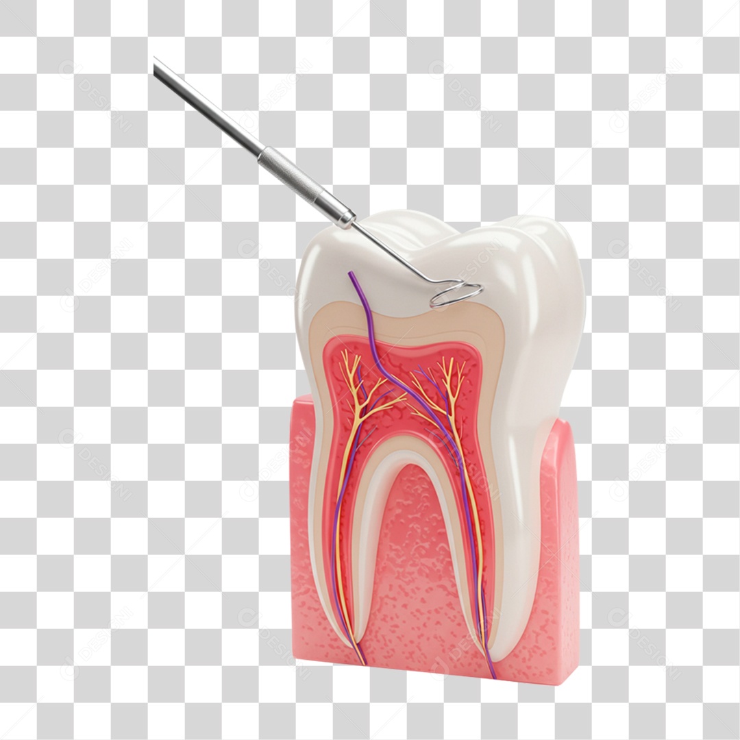 Dentes com Equipamento Dentário PNG Transparente