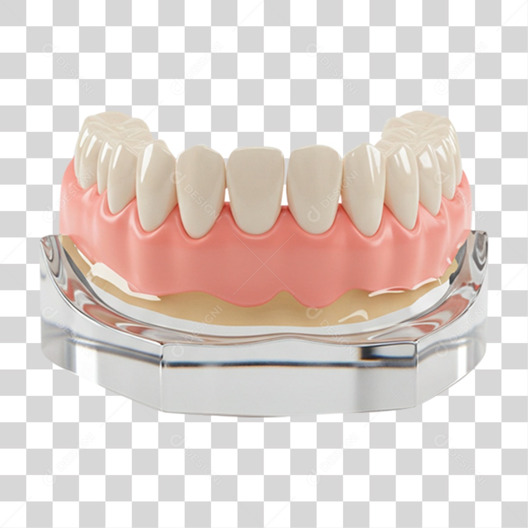 Dentadura Parte de Baixo PNG Transparente