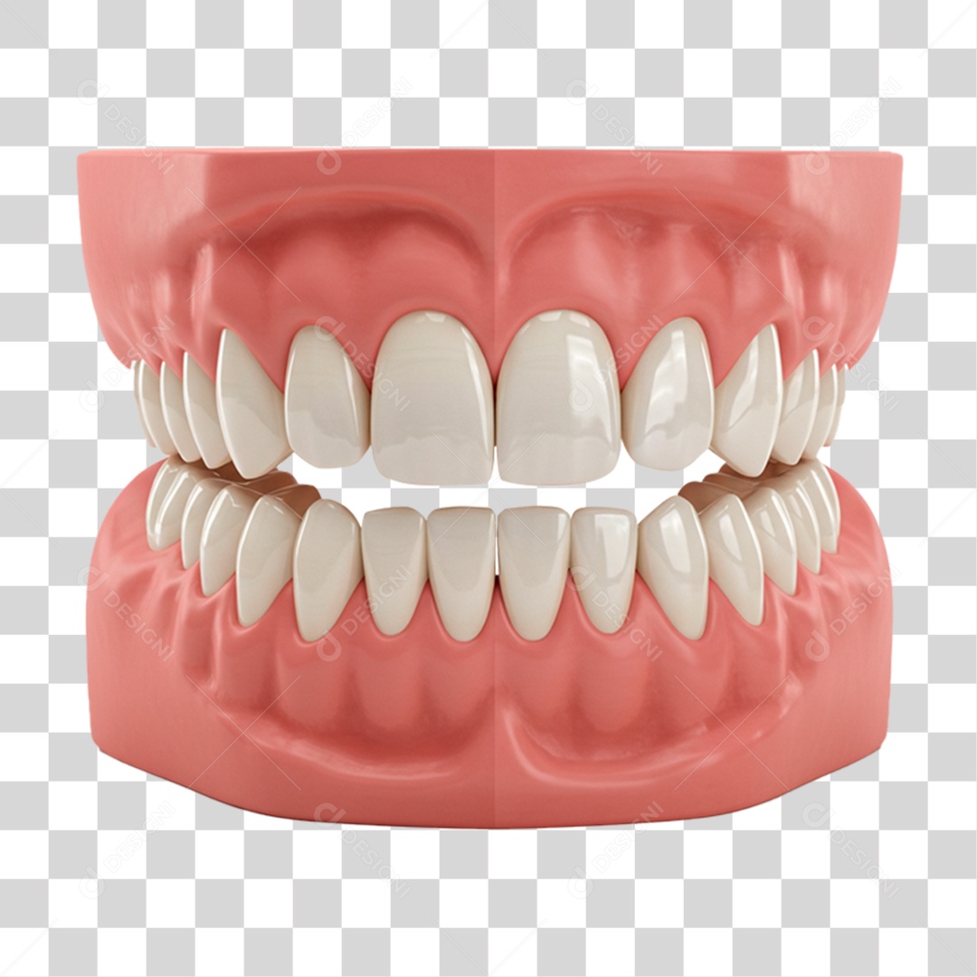Dentadura PNG Transparente