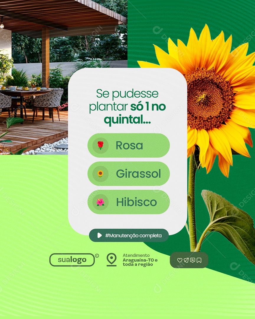 Jardineiro Se Pudesse Plantar Só Um no Quintal Social Media PSD Editável