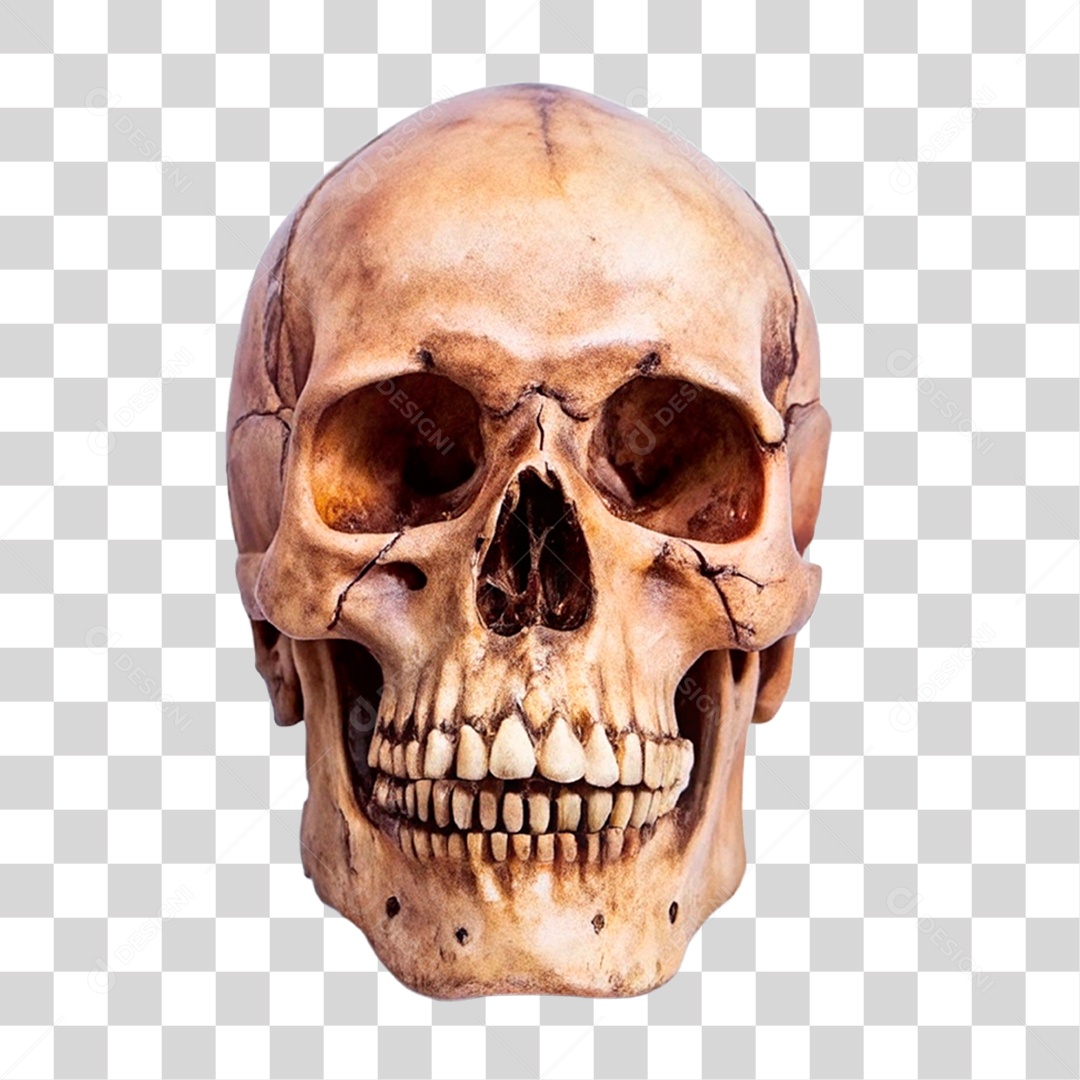 Caveira Antiga PNG Transparente
