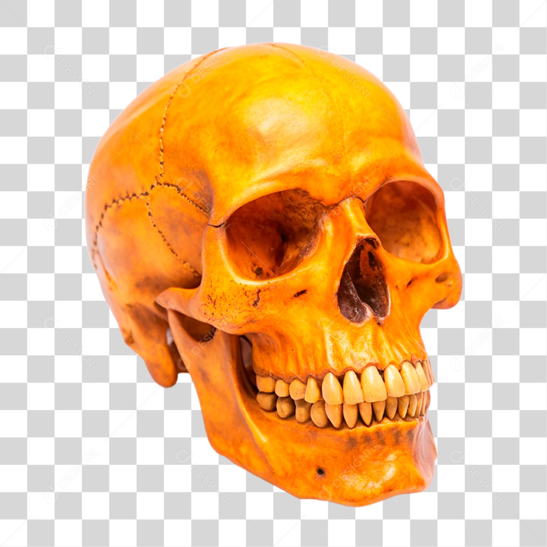 Caveira Antiga PNG Transparente