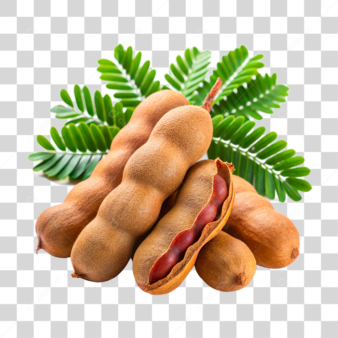 Tamarindos PNG Transparente