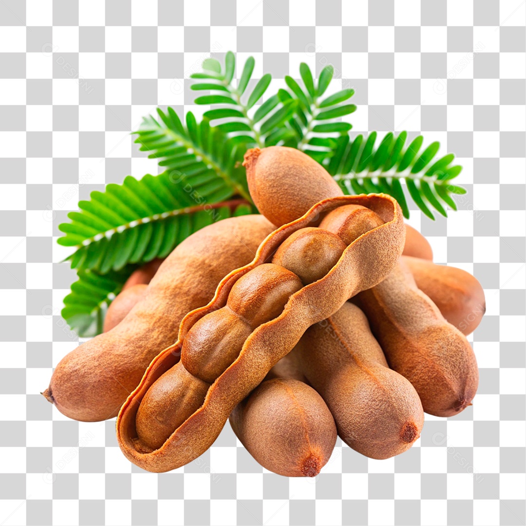 Tamarindos PNG Transparente