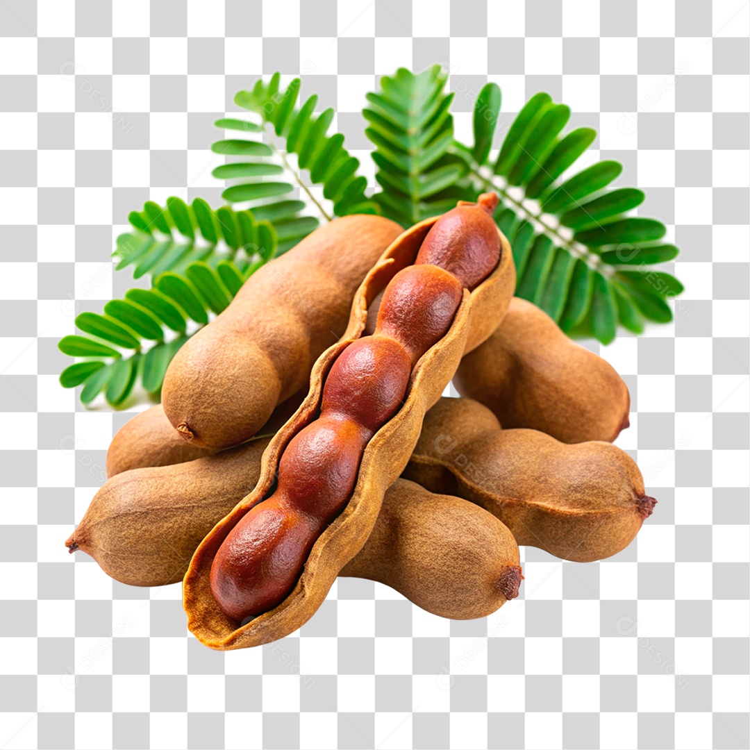 Tamarindos PNG Transparente