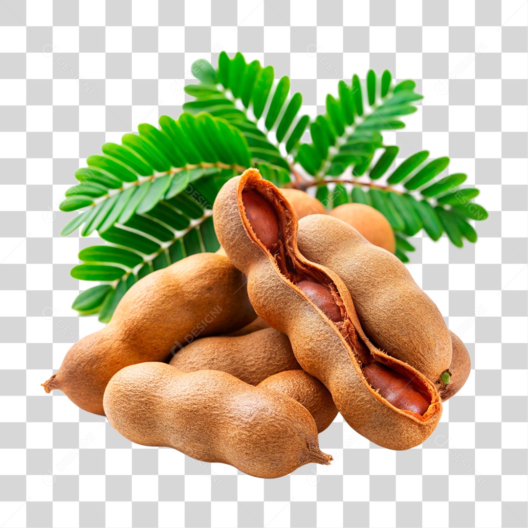 Tamarindos PNG Transparente