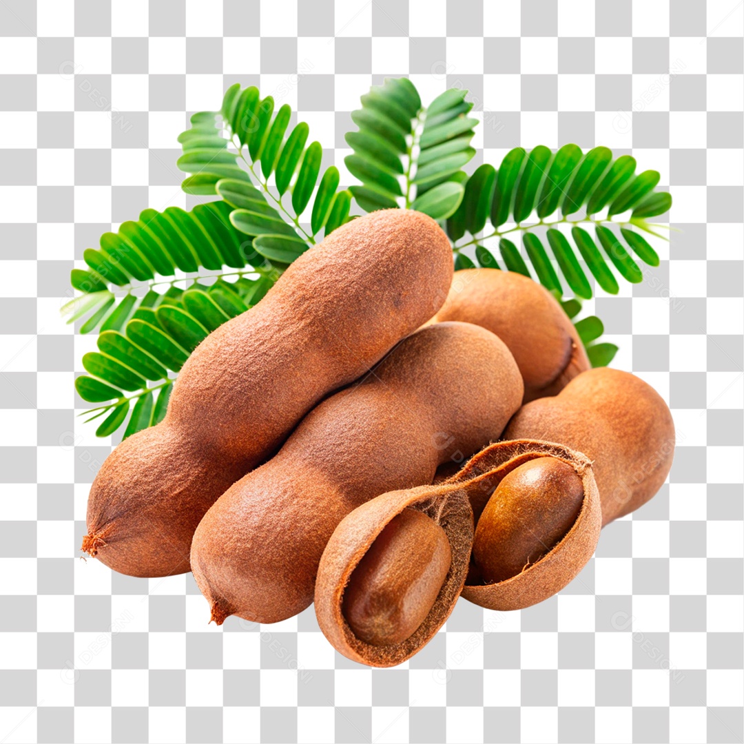Tamarindos PNG Transparente