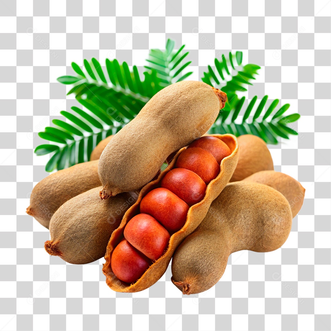 Tamarindos PNG Transparente