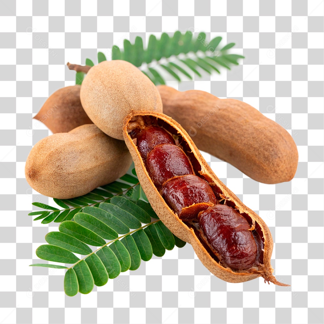 Tamarindos PNG Transparente